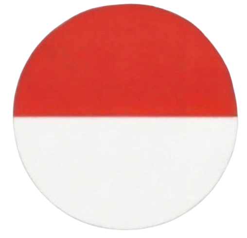 indonesiaevisa logo